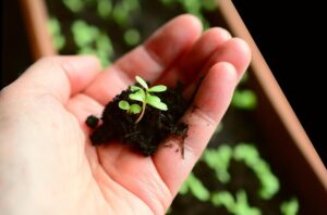 Gids voor kleine verbeteringen in huis en tuin met praktische stappen voor betere indeling en onderhoud